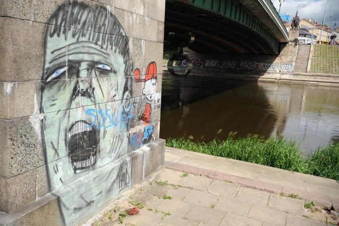 Baudomis už turto sunaikinimą viliasi pažaboti grafitininkus