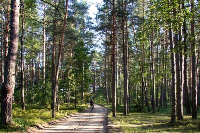 Kelionė laiku po Neries regioninį parką 