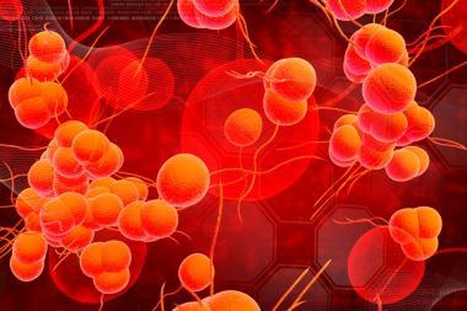 Prieš antibiotikams atsparias bakterijas - virusai