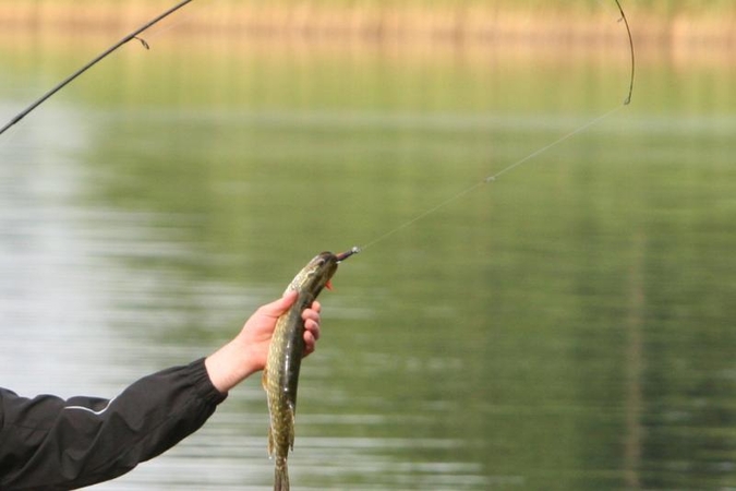 Brakonierių padaryta žala – beveik 36 tūkst. litų