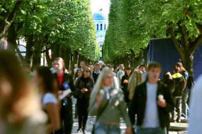 Laisvės alėjos projektas kainuos beveik 2 mln. litų