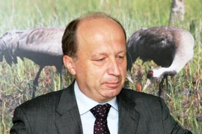 A.Kubilius: nei vienas ministras nėra tobulas