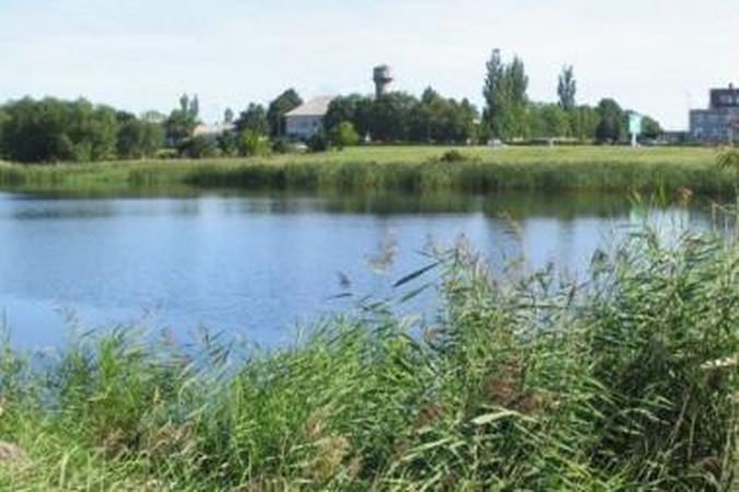 Trinyčių tvenkinyje rastas negyvas vyras (papildyta)