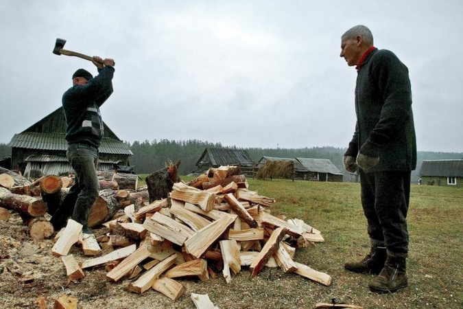 Lietuvoje didėja malkų skaldyklių paklausa 