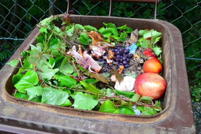 Šiukšlių vamzdžiai – pavojingi, nuostolingi, bet dažni 
