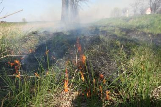 Žolės degintojai negaus tiesioginių išmokų