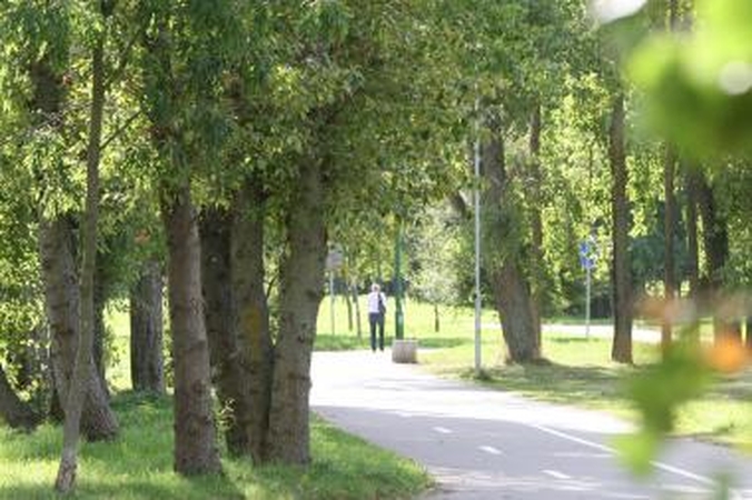 Tvarkys Draugystės parką