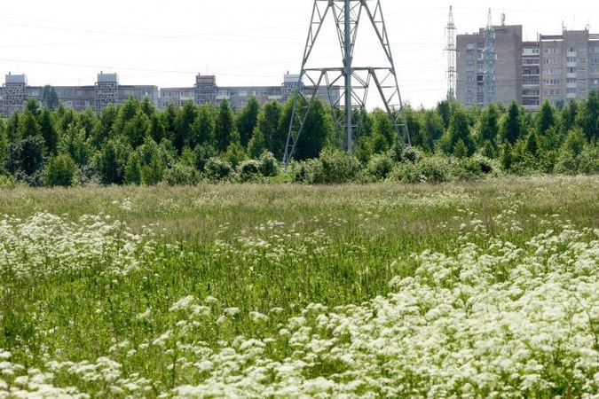 Šiukšles planuojama deginti po kauniečių langais