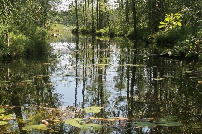 Pelkės - sritis, kurioje ypač lenkiame Vakarus