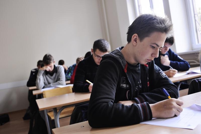 Konstitucijos egzaminas Kauno jaunimo neišgąsdino