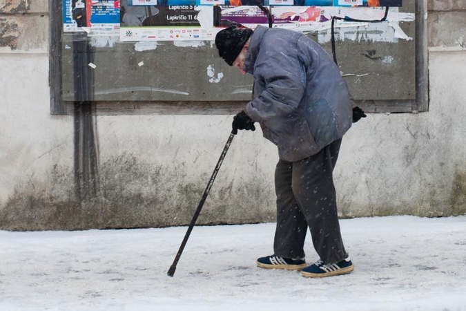Seniūnaičius išrinks tik bedarbiai ir pensininkai?