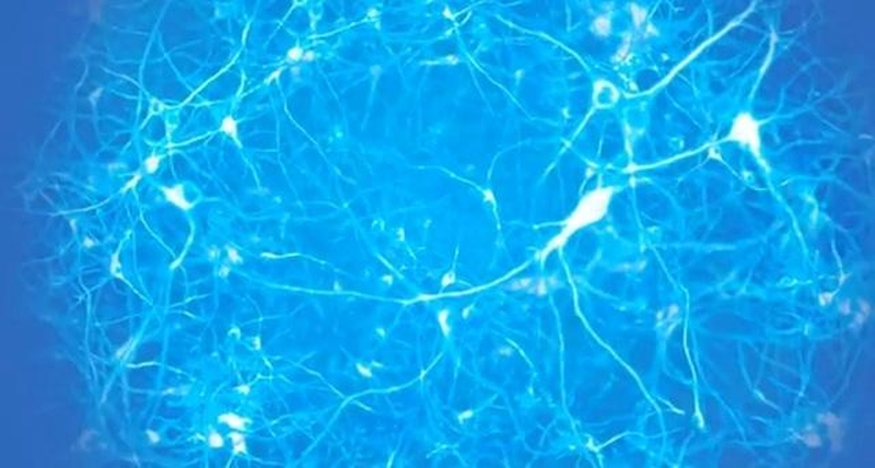Elektra papurtytos smegenys matematiką supranta geriau