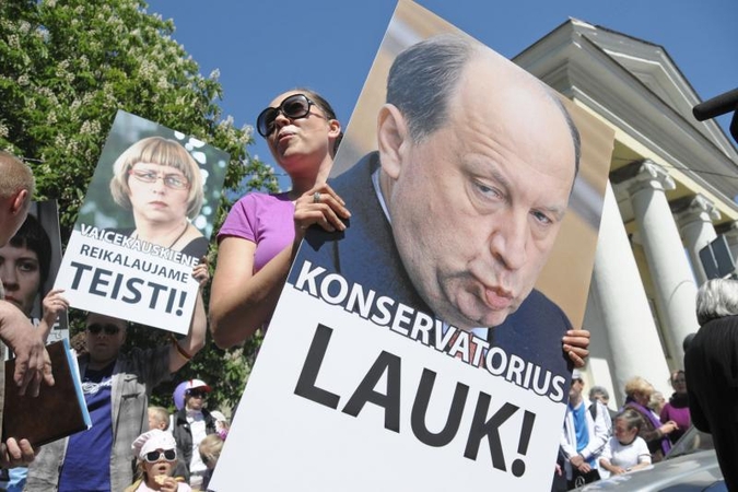 Vilniuje į mitingą rinkosi žmonės, sujaudinti vaiko likimo