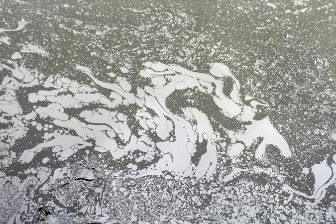 Klaipėdoje, Danės upėje pastebėtos teršalų dėmės