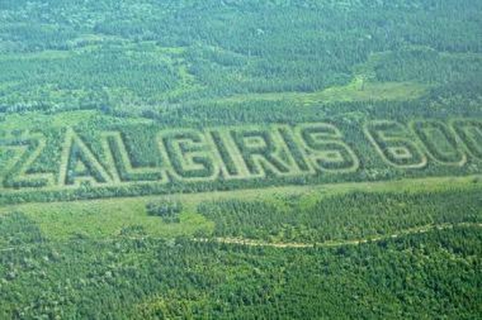 Užrašas "Žalgiris 600" suformuotas iš 7 tūkst. medžių