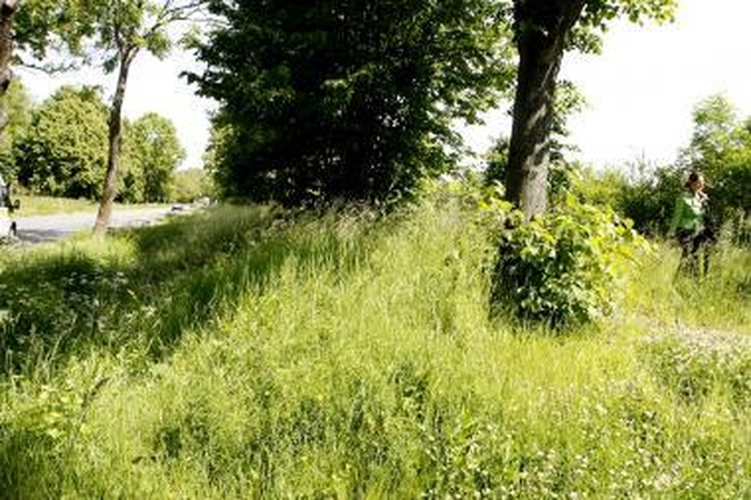 Šalčininkų ir Trakų rajonuose - žmogžudystės
