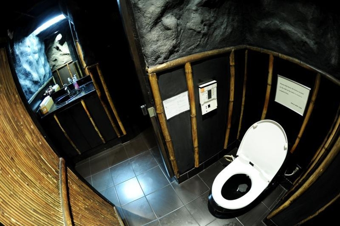 Vandens nuleidimas tualete gali sukelti viduriavimą