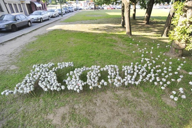 Popieriniais pienės pūkais pasklidusi „Kauno diena“