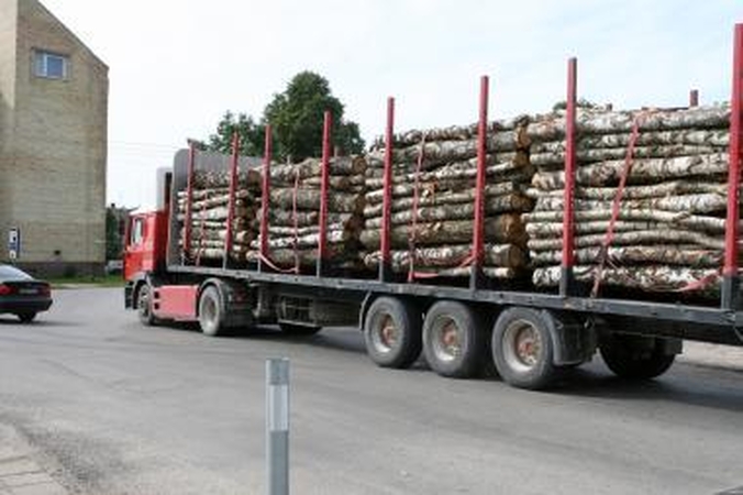 Vengdami patikrinimų vilkikai važiuoja per gyvenvietes