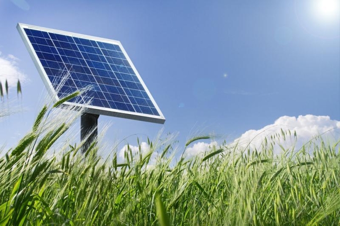 Lietuvoje sulauksime vaistažolių derliaus, džiovinto saulės energija