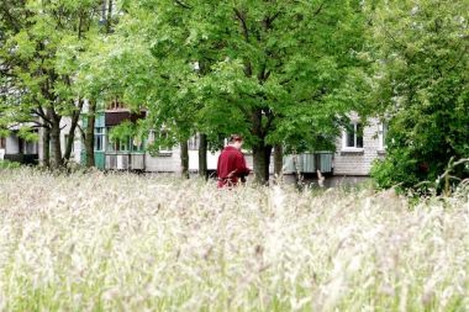 Lėšų šienavimui nebus ir kitąmet