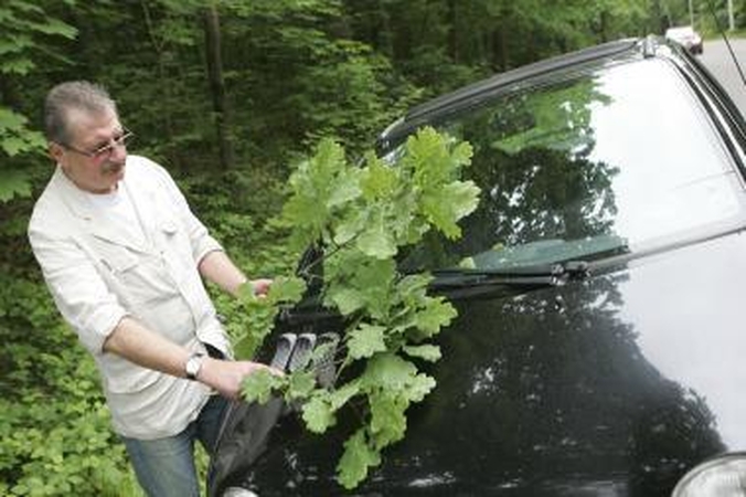 Lietuvos rekordai: nuo žuvų iki tūkstantmečio renginių