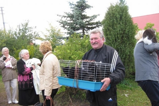 Užsienio veterinarai Klaipėdoje sterilizavo 268 gyvūnus