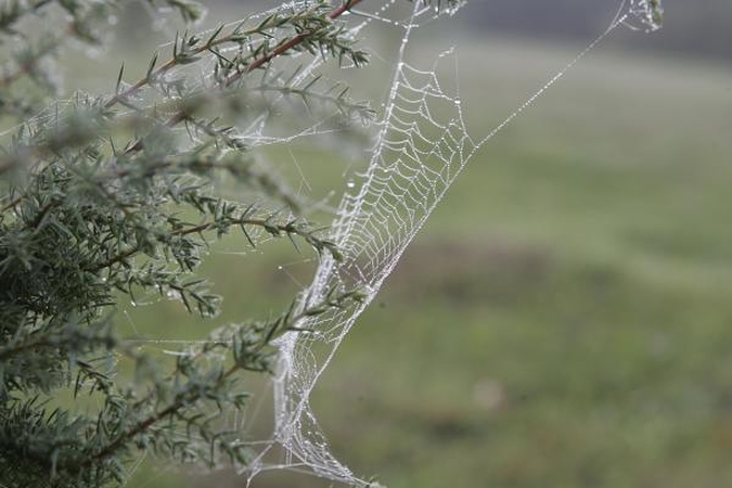 Vilniečiai kviečiami į seminarą apie rudens šventes ir senovines tradicijas