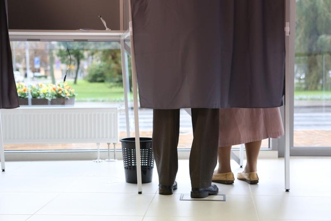 Kurias partijas rinkimų rezultatai nudžiugins labiausiai?