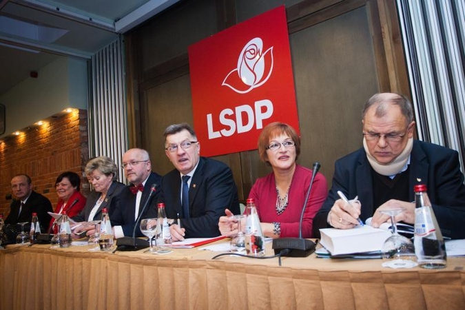 Sprendimas dėl B. Vėsaitės atidedamas iki antradienio (papildyta)