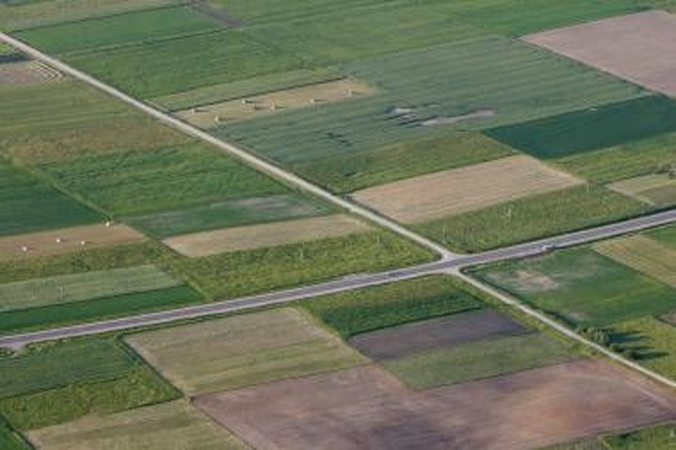 Nacionalinė žemės tarnyba kitąmet už parduotą valstybinę žemę tikisi gauti 120 mln. litų