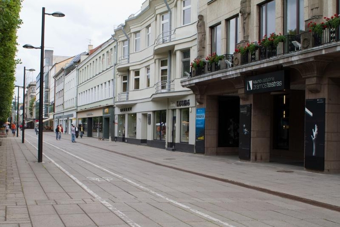 Nusikaltimus mieste seka vaizdo kamerų    pagalba