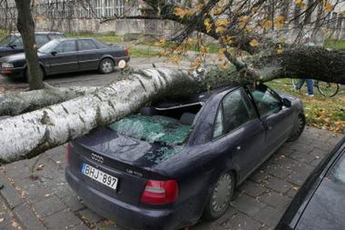 Audra Klaipėdoje: apgadinti 7 automobiliai