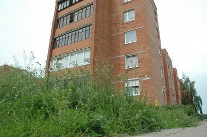 Klaipėdiečiams teks patiems šienauti kiemus