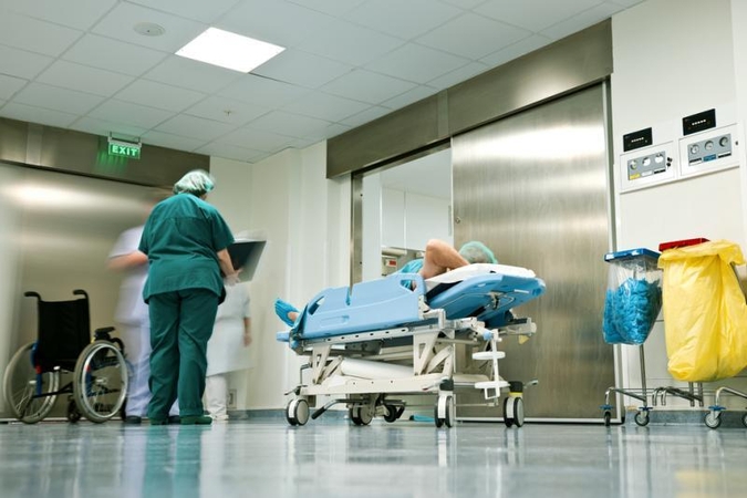Vokietijoje ir toliau plinta mažo patogeniškumo paukščių gripas 