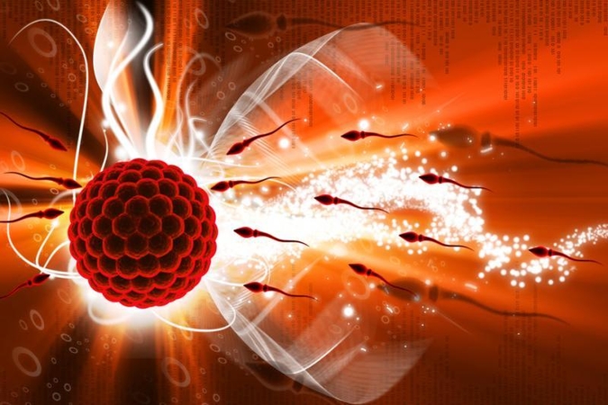 Radiacija nuo bevielio interneto gali sulėtinti spermatozoidų aktyvumą