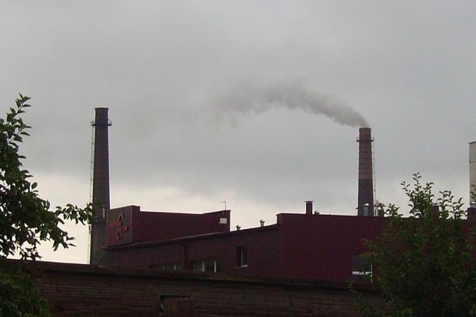 Petrašiūnų elektrinės dūmai baugina gyventojus