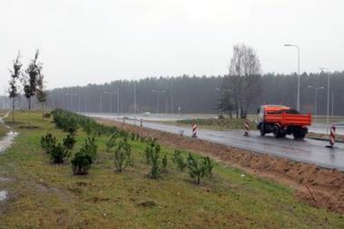 Pagunda: iš pasodintų maždaug 5 tūkst. medelių dingo apie dvidešimt.
