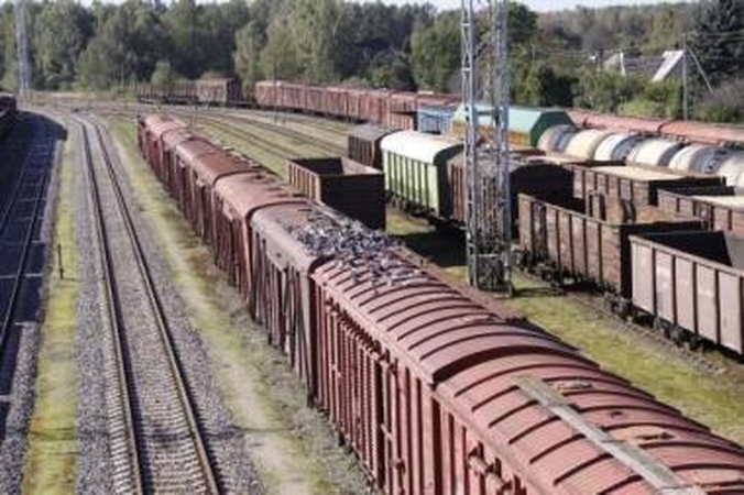 Sprendimas: ekspertų nuomone, Kauno VLC turėtų būti statomas Palemone.