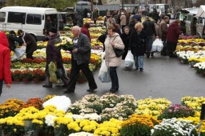Apsipirko: kauniečiai Jonas ir Ona įsigijo dvylika krūmelių chrizantemų už 120 litų.