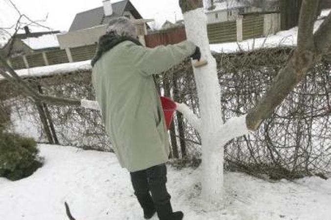 Vaistai ne vien nuo saulės smūgio