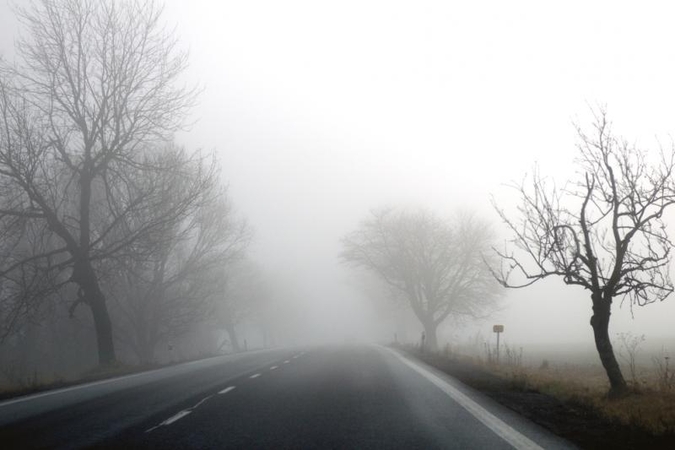 Bobų vasaros tikriausiai nebesulauksime 