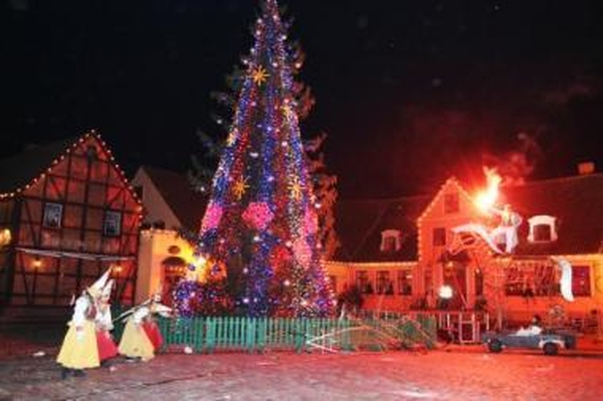 Karnavalą lydėjo miestiečių minia