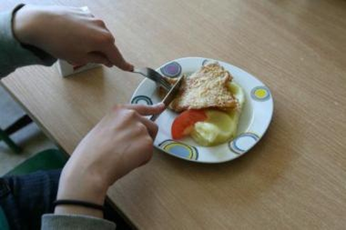 Klaipėdiečius puolė salmoneliozė