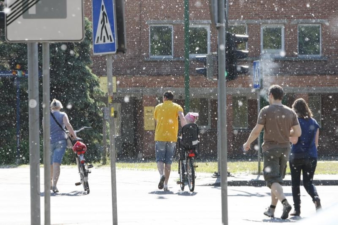 Tuopų sniegas klaipėdiečius erzins ir toliau
