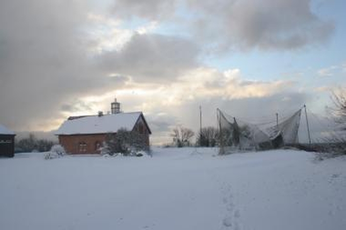(Ne)taisyklė: Ventės ragas 2008-aisiais po smarkiausio per visą meteorologinių stebėjimų laikotarpį Lietuvoje snygio iš lapkričio 24-osios į 25-ąją naktį.