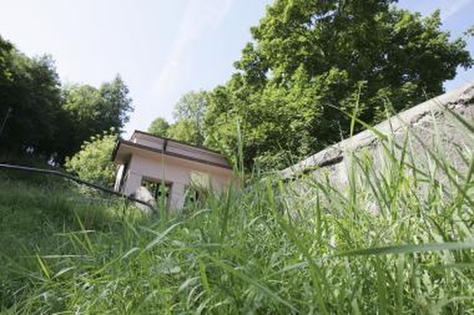 Aleksoto funikulierius skendo piktžolių jūroje