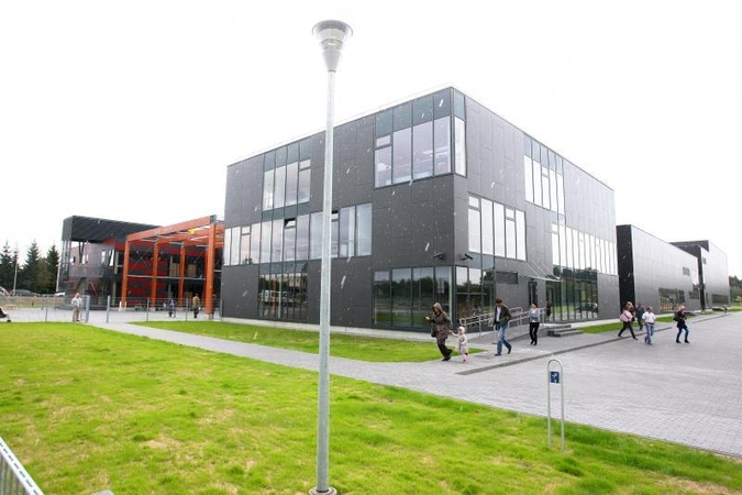 „Vilniaus dienos“ bendruomenių konkursas: Balsių idėja