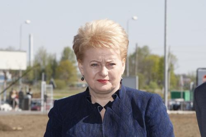Termofikacinę jėgainę palaimino prezidentai