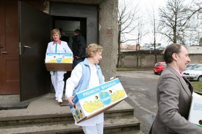 Labdaros gobimo vingrybės